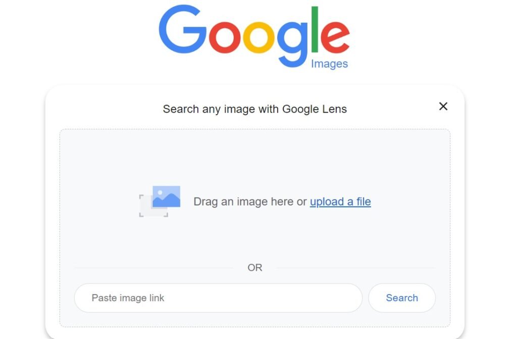 Reverse Image Search on Google